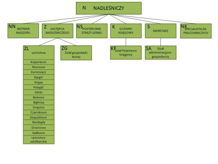 Schemat organizacyjny