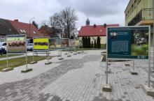 Plenerowa wystawa przyrodnicza.