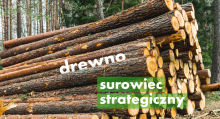 Drewno surowcem strategicznym